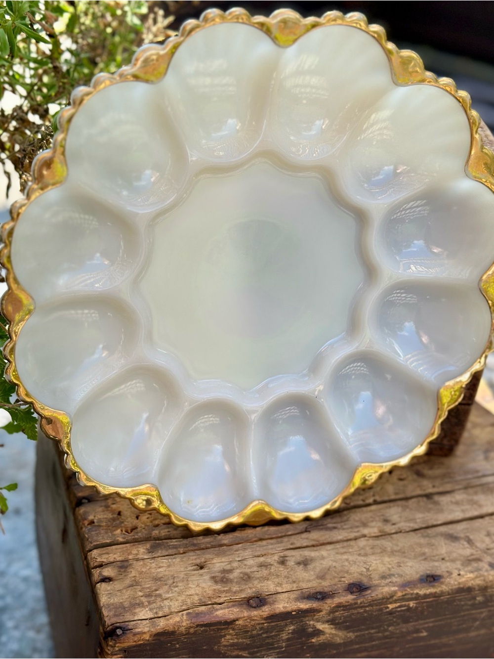 Vintage Milk Glass Deviled Egg Plate Gold Trim Scalloped Edge